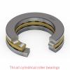 812/670 Thrust cylindrical roller bearings
