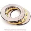 7549428 Thrust cylindrical roller bearings #2 small image